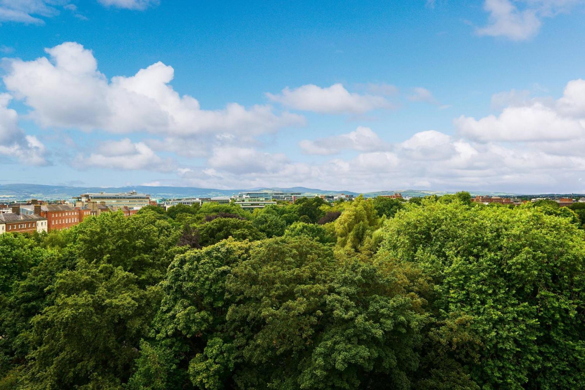 Large King Room with Park View,1643144298:JPEG